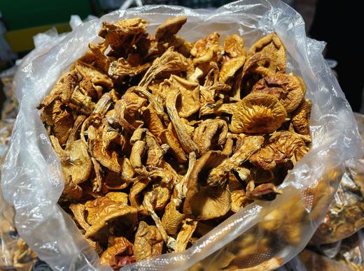 大众小黄蘑一份 商品图1