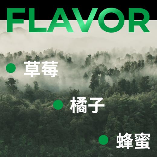 捌比特埃塞俄比亚耶加雪菲 野生林 水洗日晒 浅烘焙手冲精品咖啡豆 100g 商品图2