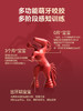 【hegen】马年纪念款礼盒 商品缩略图4