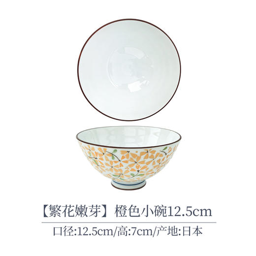 小蓝芽碗盘子日式餐具日本光峰瓷器家用陶瓷碗饭碗面碗汤碗 商品图5