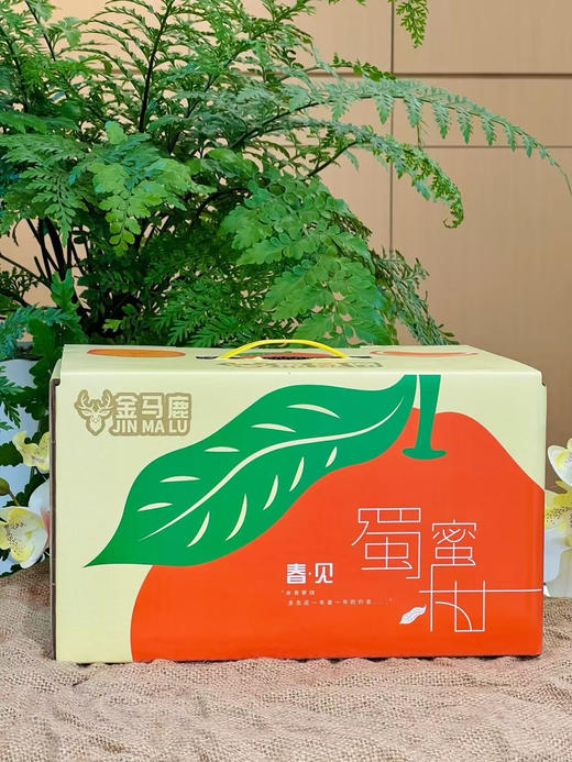 小件春见耙耙柑 蜜桔 甜蜜爆汁桔子礼盒装 商品图4