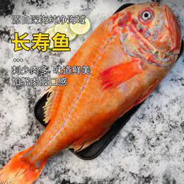 新西兰进口野生海产长寿鱼1500±100g 1800-1900g 近南极海域 商品图1