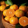 砂糖橘 500g/份  橘子 商品缩略图0