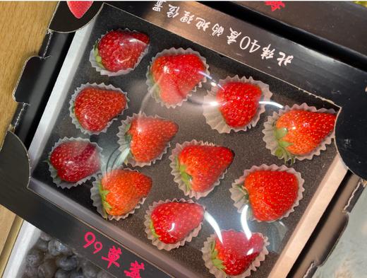15粒黑盒草莓2盒 商品图1