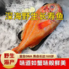 新西兰进口野生海产长寿鱼1500±100g 1800-1900g 近南极海域 商品缩略图0