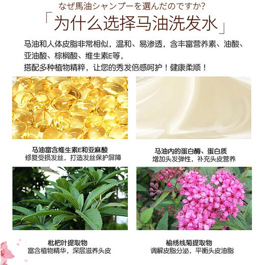 日本进口蝶印马油洗发水（清爽型）600mL 商品图1