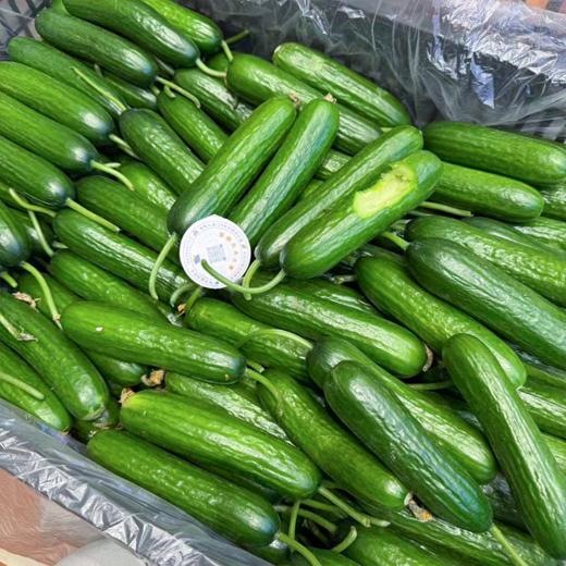 小黄瓜 清香脆甜 嘎嘣脆 商品图4