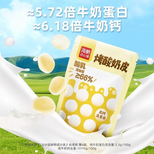 【内蒙特产】海鹏特产鲜牛奶草原烤奶皮 商品图1