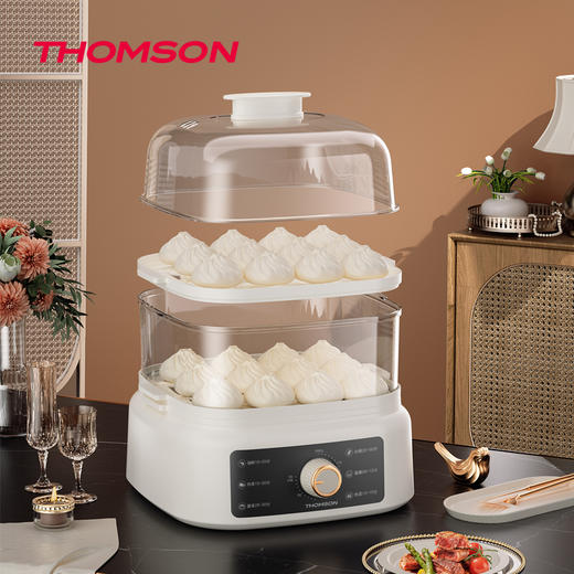 汤姆逊电蒸锅C-T0326 商品图1