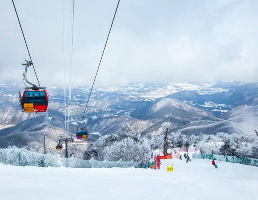 【首发】1月29日 韩国江原道-龙平滑雪场 商品图2