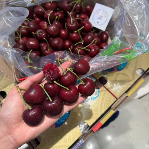 四JJJJ 拉宾斯车厘子巨大果  商品图12