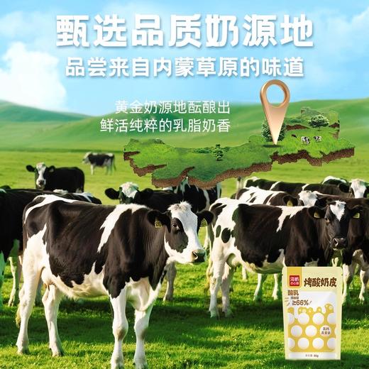 【内蒙特产】海鹏特产鲜牛奶草原烤奶皮 商品图3