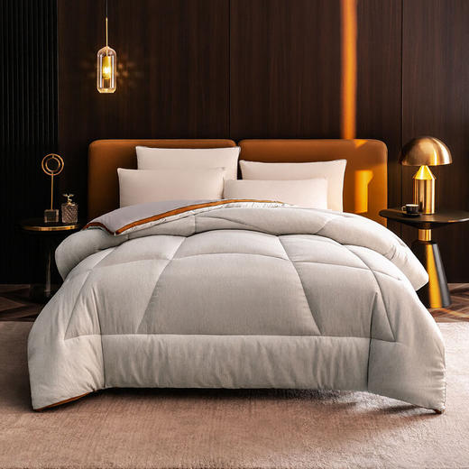 【多样屋专柜】每晚深睡石墨烯热凝双合被冬被200*230cm 商品图0