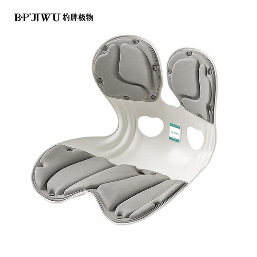 【专柜多样屋】豹牌极物护腰矫姿坐垫冬季家用送礼 商品图1