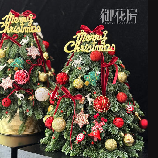 诺贝松圣诞树 商品图1