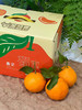 小件春见耙耙柑 蜜桔 甜蜜爆汁桔子礼盒装 商品缩略图9