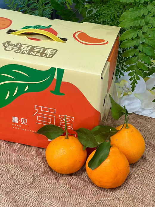 小件春见耙耙柑 蜜桔 甜蜜爆汁桔子礼盒装 商品图9