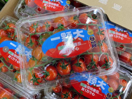 一颗大樱桃番茄一盒 商品图0