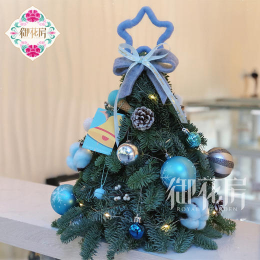 诺贝松圣诞树 商品图6