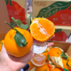 小件春见耙耙柑 蜜桔 甜蜜爆汁桔子礼盒装 商品缩略图2