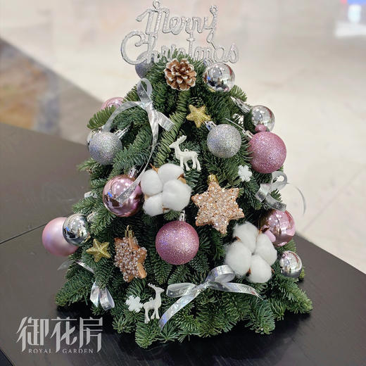 诺贝松圣诞树 商品图7