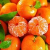 砂糖橘 500g/份  橘子 商品缩略图1