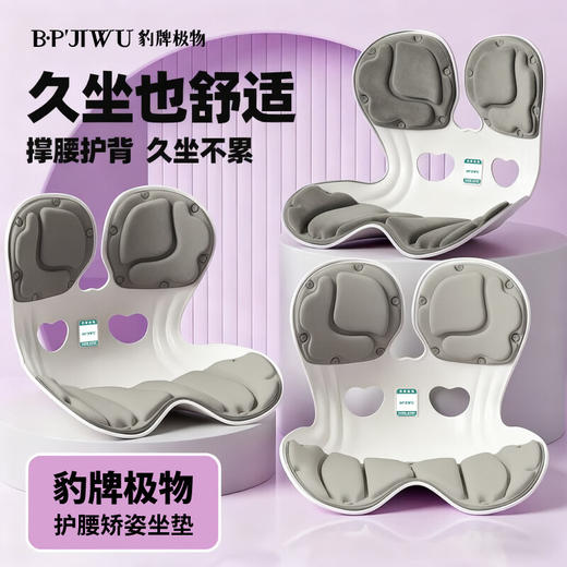 【专柜多样屋】豹牌极物护腰矫姿坐垫冬季家用送礼 商品图2