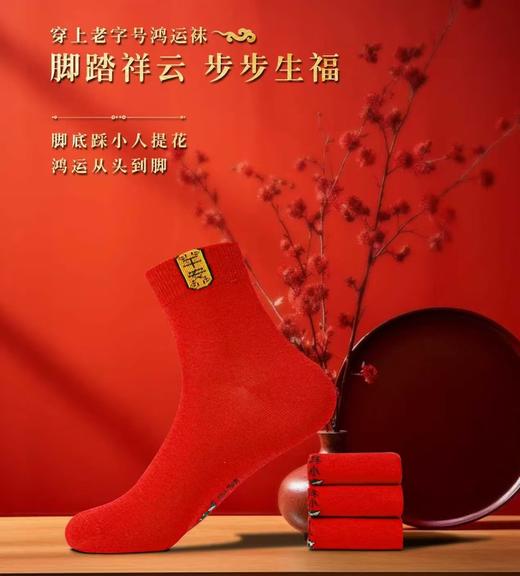 SL竹纤维男士踩小人鸿运袜160 商品图1