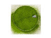 古典抹茶 商品缩略图1