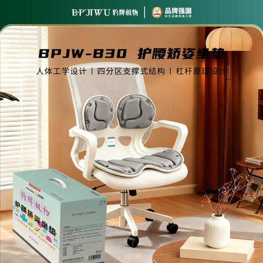 【专柜多样屋】豹牌极物护腰矫姿坐垫冬季家用送礼 商品图0
