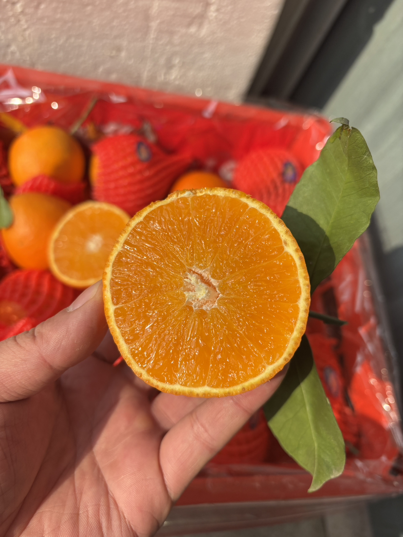 9.9元3斤一级爱媛果冻橙中果一袋