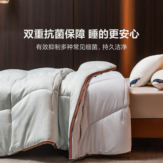【多样屋专柜】每晚深睡石墨烯热凝双合被冬被200*230cm 商品图2