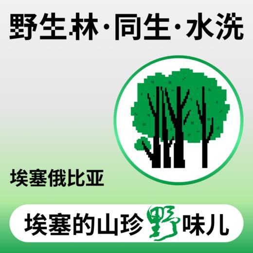 捌比特埃塞俄比亚耶加雪菲 野生林 水洗日晒 浅烘焙手冲精品咖啡豆 100g 商品图0