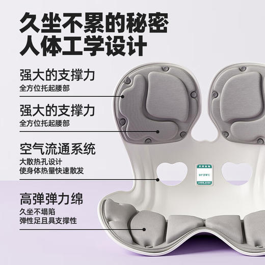 【专柜多样屋】豹牌极物护腰矫姿坐垫冬季家用送礼 商品图4