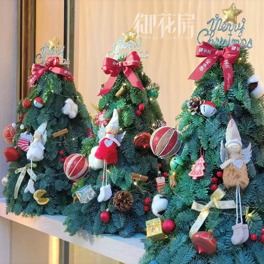 诺贝松圣诞树 商品图3