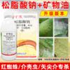 矿物油松脂酸钠套餐果树清园剂柑橘树介壳虫红蜘蛛专用清园剂农用 商品缩略图3