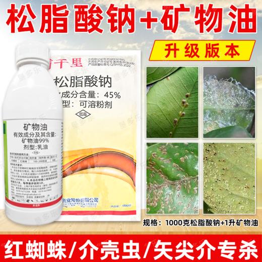矿物油松脂酸钠套餐果树清园剂柑橘树介壳虫红蜘蛛专用清园剂农用 商品图3