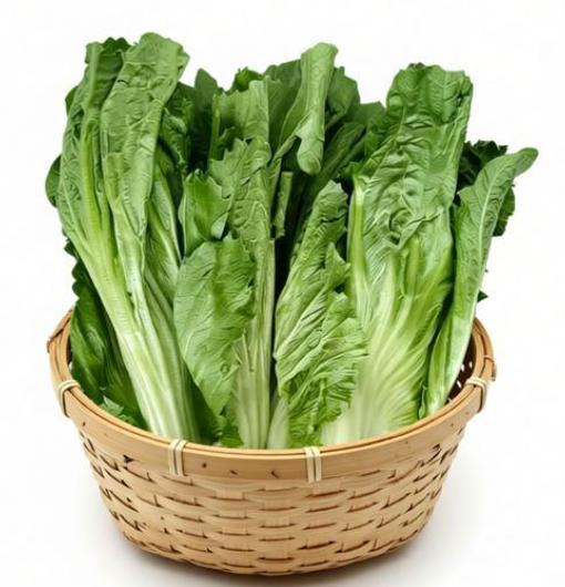 有机介瘤菜 商品图1