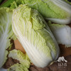 生态娃娃菜团购（包邮）| 绿家自产* Eco-baby Chinese cabbage group-buy | Self-production 商品缩略图0