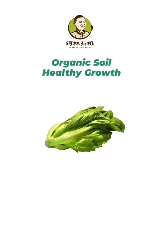 有机介瘤菜 商品图0