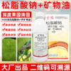 矿物油松脂酸钠套餐果树清园剂柑橘树介壳虫红蜘蛛专用清园剂农用 商品缩略图1