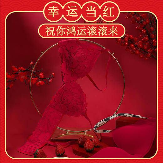 好奇蜜斯红内衣女大胸显小胸聚拢文胸罩套装无痕马本命年结婚性感-红品蕾丝+无痕文胸合集 商品图4