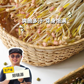 生态绿豆芽 | 绿家自产* Eco- mung bean sprouts | Self-production