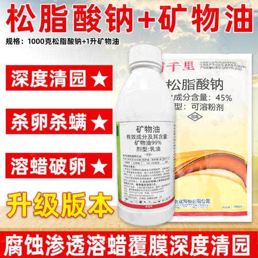 矿物油松脂酸钠套餐果树清园剂柑橘树介壳虫红蜘蛛专用清园剂农用 商品图0