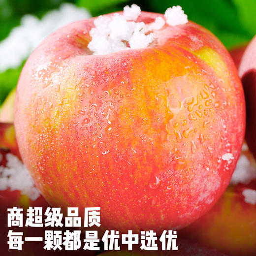 【严选】【 新疆阿克苏冰糖心】原产地阿克苏冰糖心苹果新鲜当季水果精选大果型  8斤 商品图2