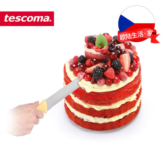 Tescoma进口面包刀 不锈钢锯齿刀(30cm) 商品图1