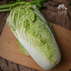 生态娃娃菜团购（包邮）| 绿家自产* Eco-baby Chinese cabbage group-buy | Self-production 商品缩略图1