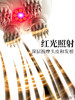 头部按摩器HZ-HEAD-7 商品缩略图3