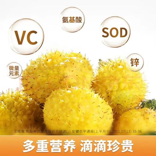 刺力王刺梨电解质水350ml*15 商品图4