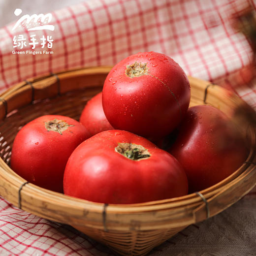 生态西红柿（北京） 合作生产*Ecological tomato| Partner Production 商品图2